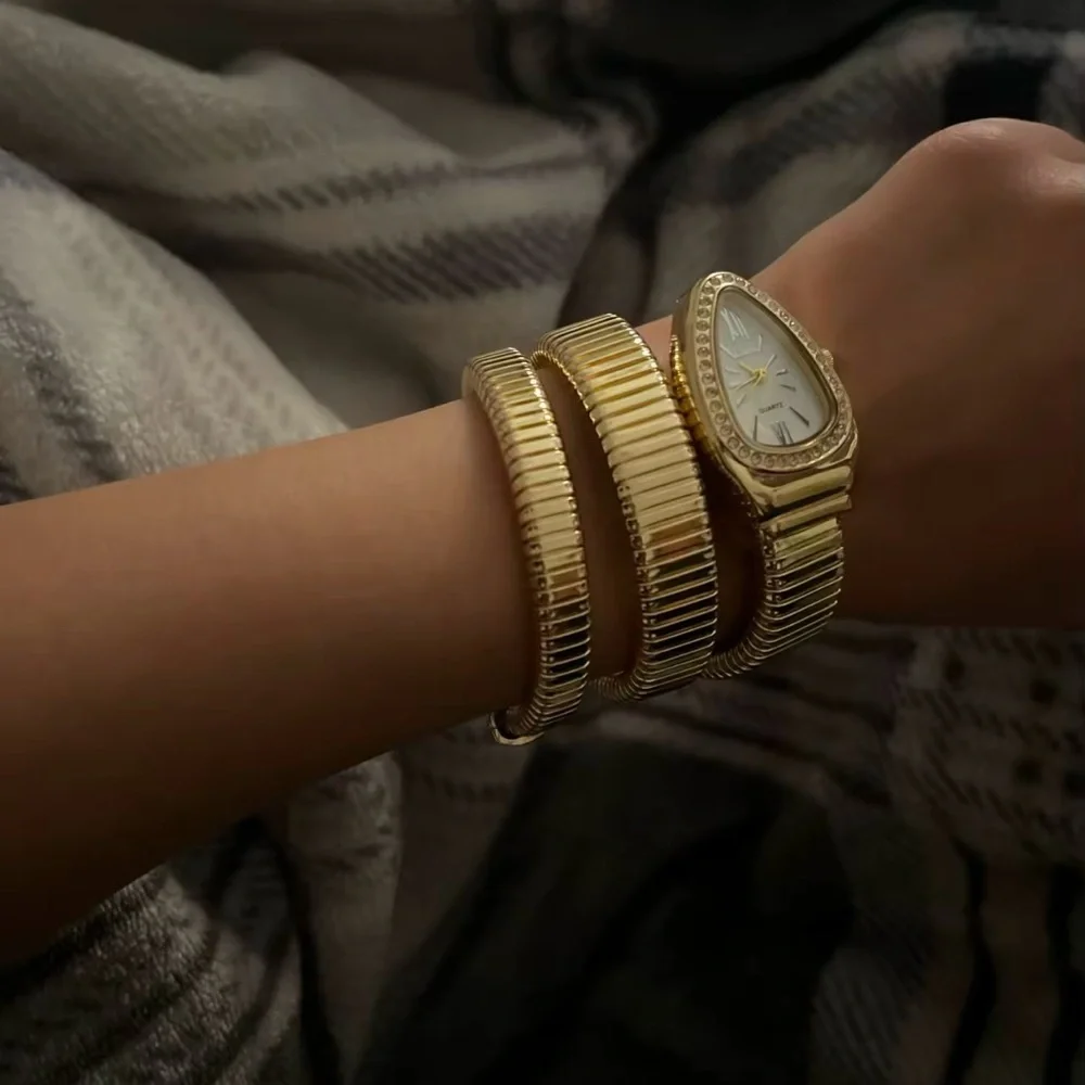 Serpenti Elegant Silver Wrap Women's Watch